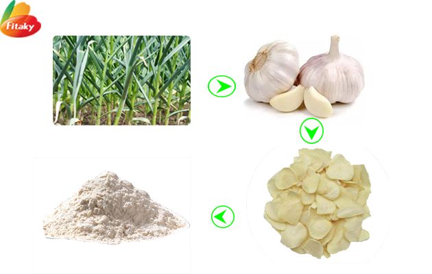 Garlic-powder Garlic-powder