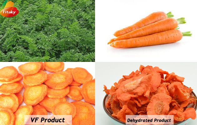 Vacuum fried carrot chips
