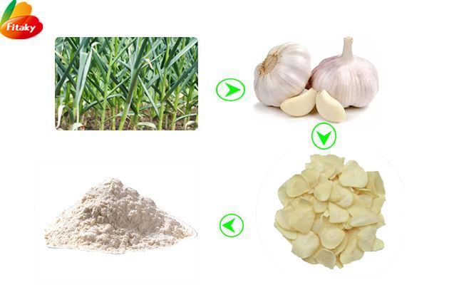 Garlic powder