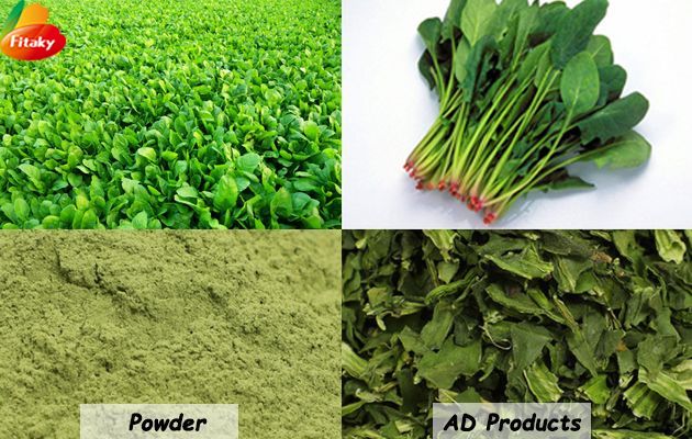 Dehydrated-spinach.jpg Dehydrated-spinach.jpg