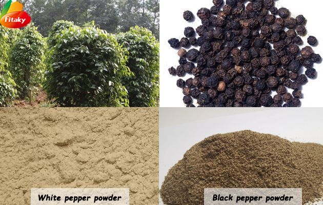 White pepper powder