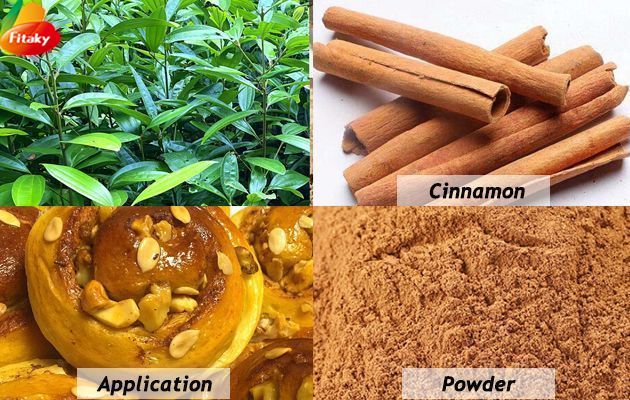 Cinnamon product