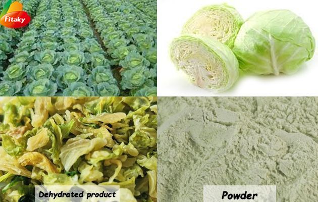 Dehydrated cabbage Dehydrated cabbage
