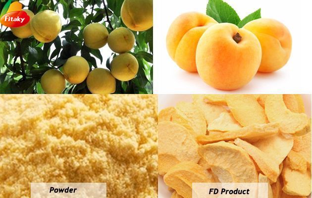 Product name	Yellow peach powder size	80-120mesh Color	Yellow Aerobic Plate Count	≤500,000 Coliforms	≤1000/g Mold	≤5000/g E.Coli	Neg/25G Salmonella	Neg/25G moisture	≤5% certifications	ISO9001,HACCP,HALAL,BRC,FDA, etc. Raw material	Organic yellow peach Box size	50*35*29cm Storage condition	Sealed in dry, cold, waterproof & ventilated conditions Shelf Life	24 months Noted	support customization;provide free samples;reach the international standards;fast delivery;one-stop service