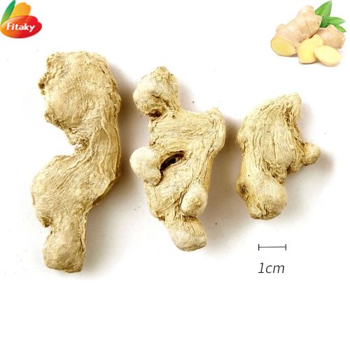 Dried ginger root