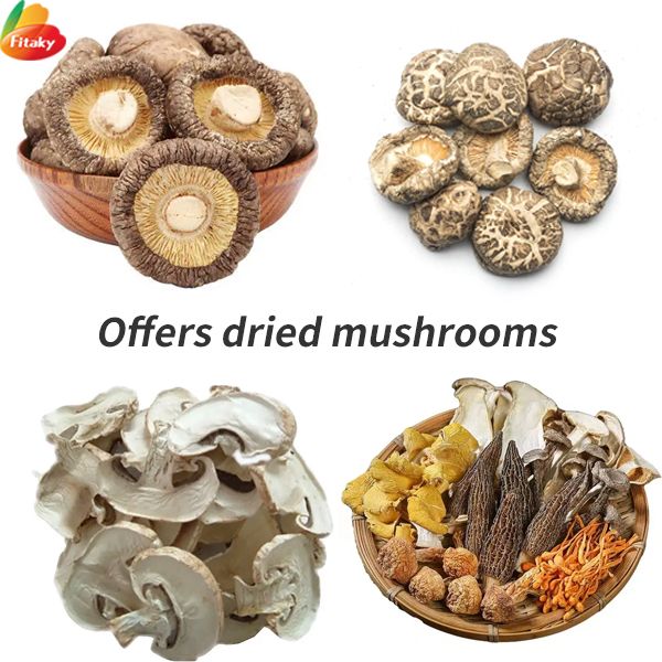 Dried mushrooms wholesale price