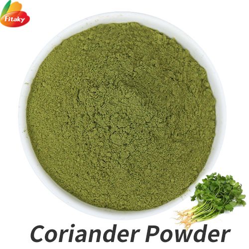 Coriander leaf powder wholesale price