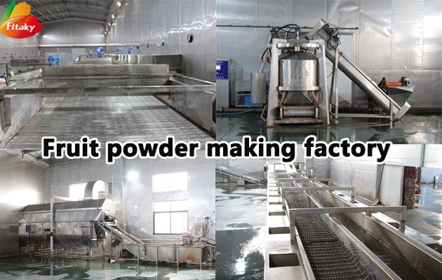 Fruit powder making factory.jpg