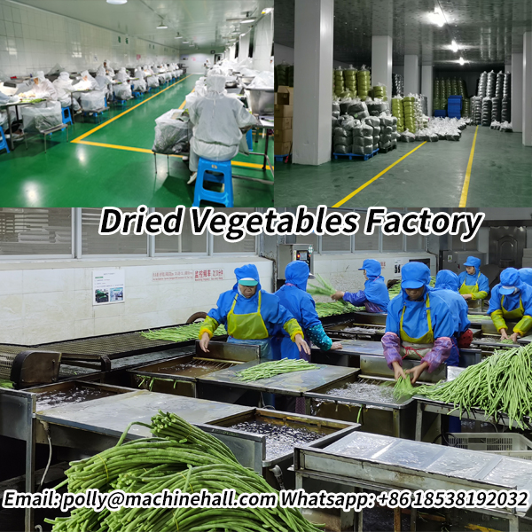 Dehydrated vegetables factory