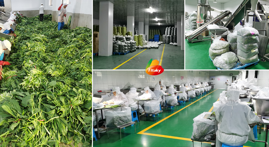 Dehydrated vegetables factory