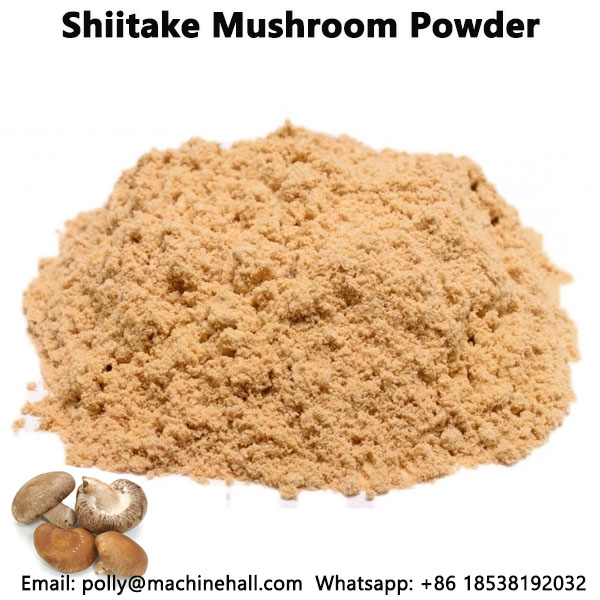 Shiitake mushroom powder