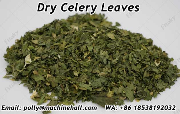 Dry-celery-leaves