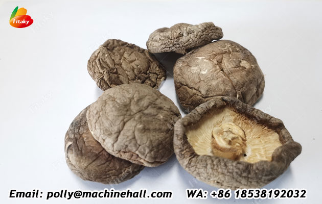 Organic-Dried-shiitake-mushrooms.jpg