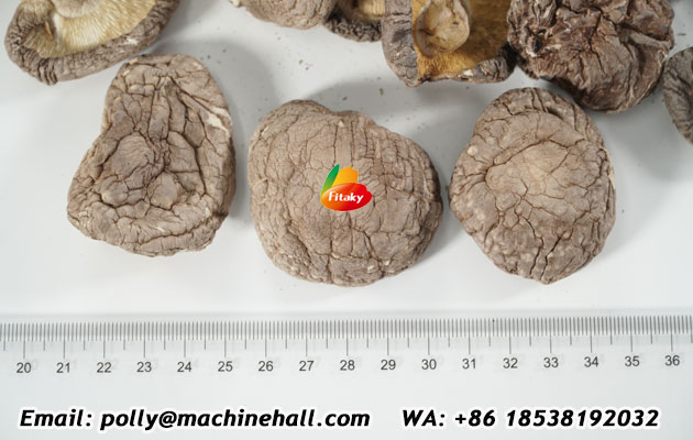 Dehydrated-Mushrooms-Wholesale-Price.jpg