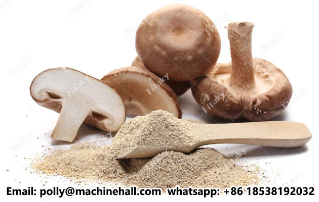 Shiitake-mushroom-powder