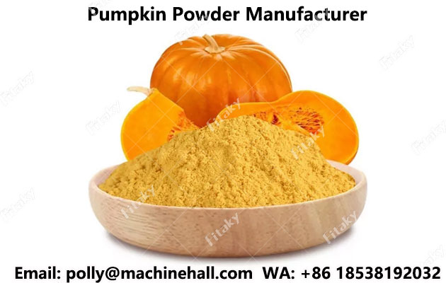 Pumpkin-Powder-Manufacturer