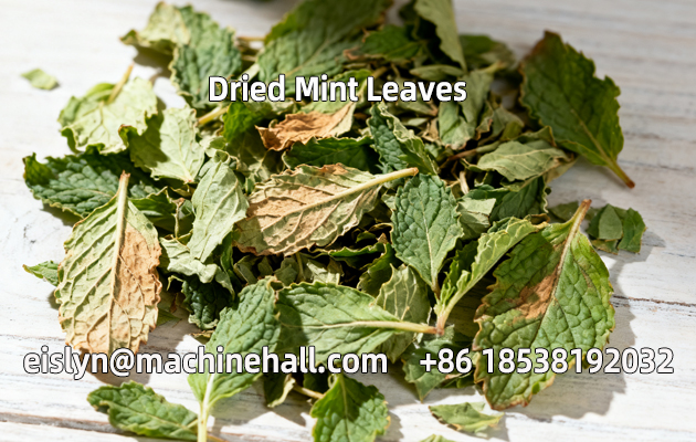 Dried Mint Leaves.jpg