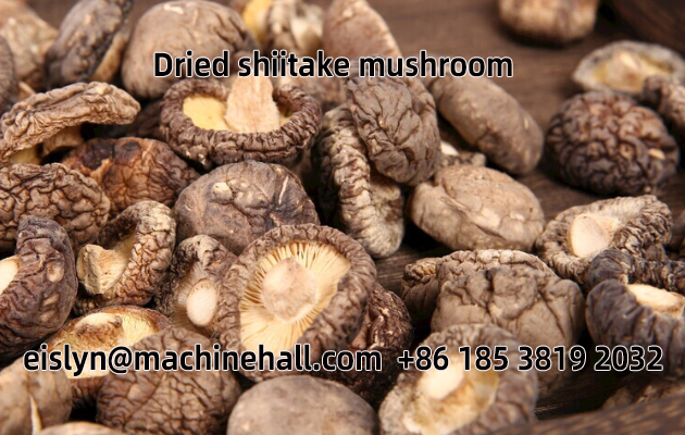 dried mushroom shiitake.jpg
