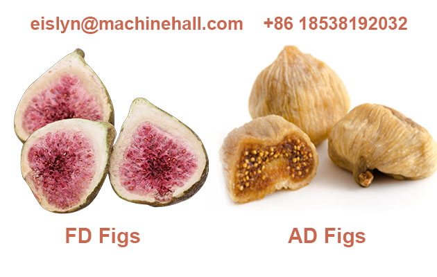 Freeze dried figs