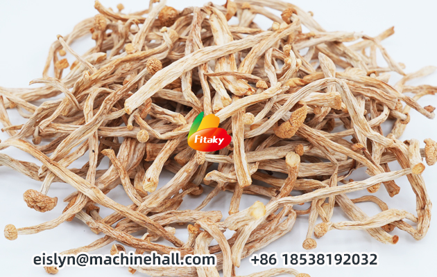 Dried Enoki Mushroom