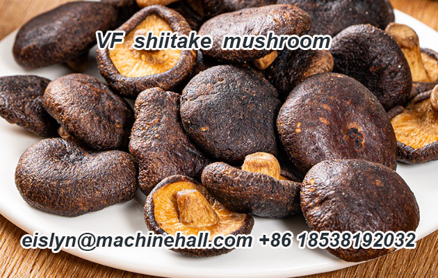 VF  shiitake  mushroom.jpg