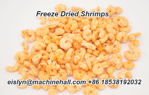 Freeze Dried Shrimps.jpg