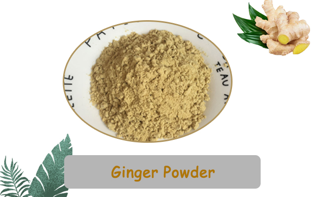 Dried ginger powder