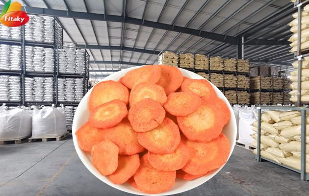 Freeze dried carrot slices