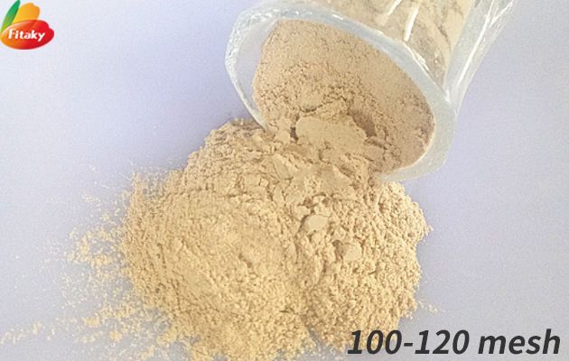 Shiitake mushroom powder