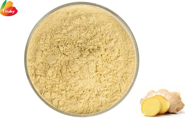 ginger powder supplier