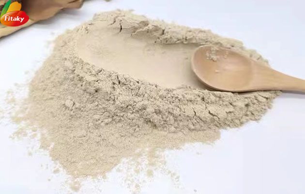 mushroom powder supplier