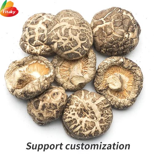 Dried mushrooms supplier