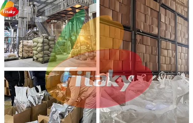 Dehydrated mushrooms supplier