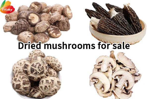Dried mushrooms wholesale price