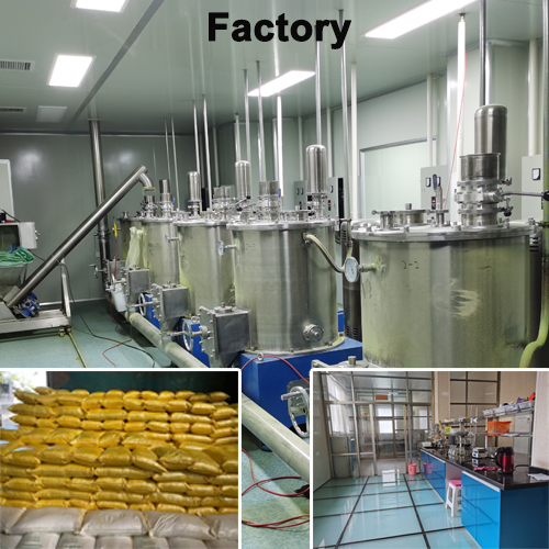 Curry powder factory