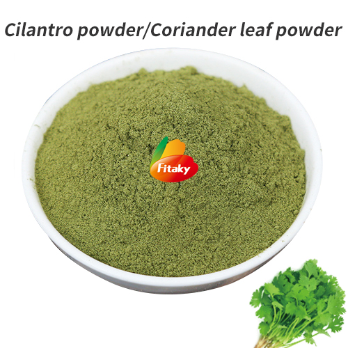 Coriander leaf powder