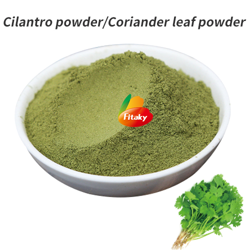 Cilantro powder supplier