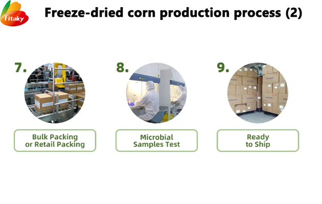 Freeze-dried corn production process 