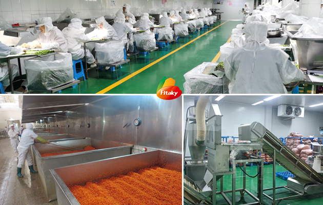 Dehydrated carrot factory