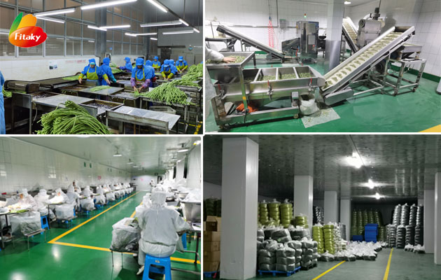 Dehydrated vegetables factory