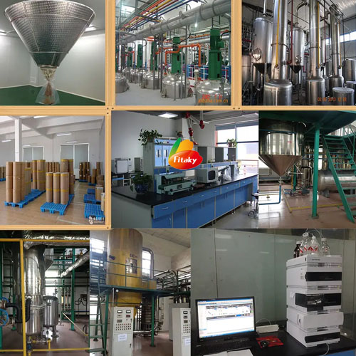 Fruit powder Factory