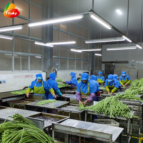 Dehydrated vegetables factory