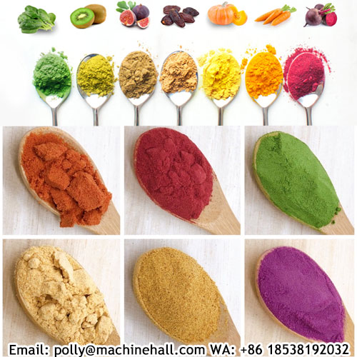 vegetable-powder-price