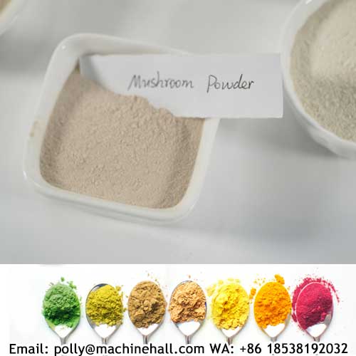 Mushroom-powder