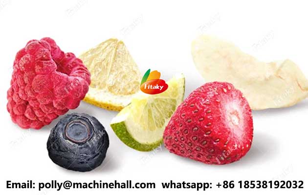 Freeze-dried-fruits-wholesale-price