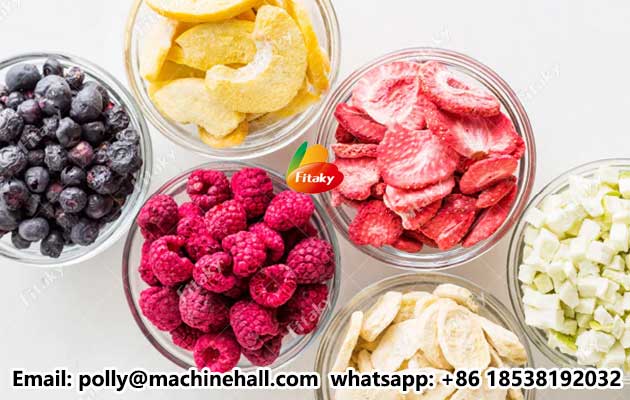 Freeze-dried-fruits-price